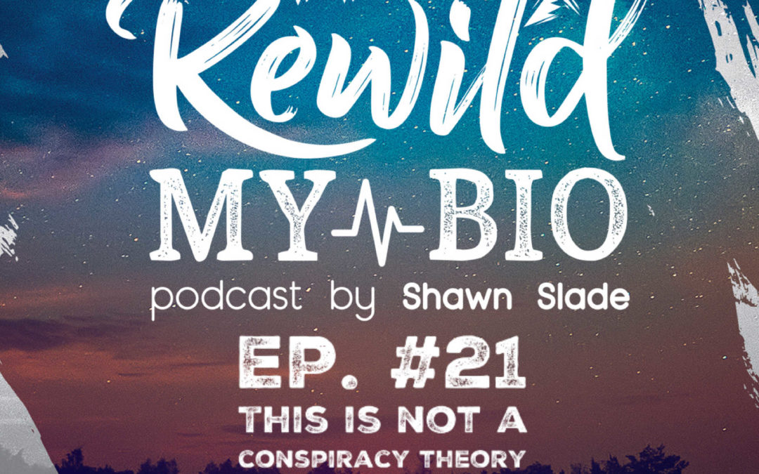 Ep. 21 This is Not a Conspiracy Theory w/ Shawn (solo)